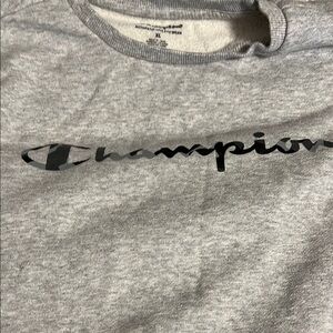 Champion Gray Sweatshirt
